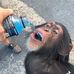 Isaac Kalani Leavitt - Facebook