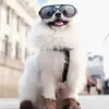 isaaclegrand - @isaaclegrand - TikTok