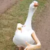 isaac_lemus7 - @isaaclemon2 - TikTok