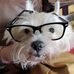 Isaac Li - Facebook