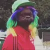 Isaac._.lis - @isaac._.lis - TikTok