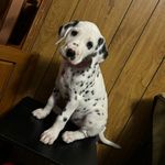 Isaac little - @isaac_little09 - Instagram