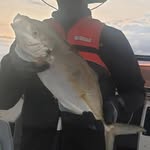 Isaac Luke - @instascottable - Instagram