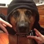 Isaac Macias - @isaacmaciasxz - Instagram