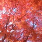 Isaac Manning - @isaacmanning45 - Instagram