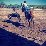 Isaac Manuel - @isaacmanuel.t.e - Instagram