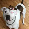 Isaac Marsh - @appleuser8747855 - TikTok