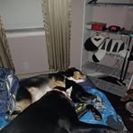 Isaac Maynard - Facebook