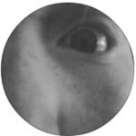 Isaac Mcdermott - @_xxeaxrazorxx_ - Instagram