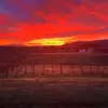 Isaac McGregor - @isaac.mcgregor5 - TikTok