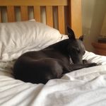 Isaac McManus - @isaacmcmanusprivate - Instagram