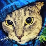 Isaac Melton - @theookamioni - Instagram
