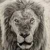 IsaacMichael - @issacwmichael - TikTok