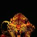 Isaac Mockley - Facebook