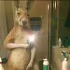 Isaac Morales - @isaac.morales1076 - TikTok