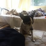 isaac morley - @isaacmorley500 - Instagram