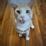 Isaac Murdock - @isaacmurd - Instagram