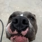 Isaac Rocha - @isaacniceice - Instagram
