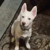 Isaac Ochoa - @isaacochoa04 - TikTok