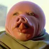 Isaac olson - @olyoyster - TikTok