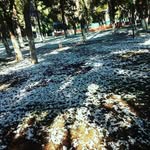 Isaac Olvera - @cesar_isaacii - Instagram