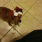Isaac Otero - @isaacotero70 - Instagram