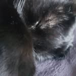 Isaac Overton - @isuki28 - Instagram
