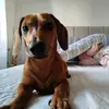 Isaac Paris - @isaac.paris5 - TikTok