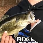 Isaac Pedersen - @isaacped6 - Instagram