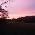 Isaac Piper - @piper_isaac - Instagram