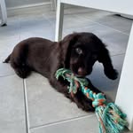 Isaac platt - @isaac825717 - Instagram