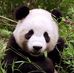 Isaac Plummer - Facebook