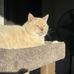 Isaac Posey - Facebook