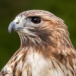 Isaac Putnam - @isaacputnam - Instagram