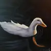 Isaac Criddle - @isaac._.criddle - TikTok