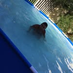 Isaac Riley - @isaac.riley2007 - Instagram