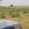 ولد تيلمسي 🇲🇱😎 - @rogerisaac0 - TikTok