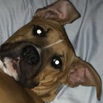 Isaac - @isaac.rogers - Instagram