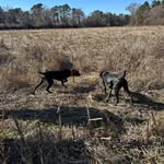 Isaac Rowell - @isaacmrowell - Instagram