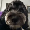 I’m a corn ball and I know it - @isaac.rowland8 - TikTok