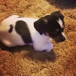 Isaac Rowles - @isaacrowles07 - Instagram