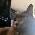 Isaac Roy - @isaac_roy08 - Instagram