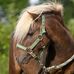 Isaac Royal Farm - Facebook