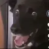 Issac Rushing - @issac.rushing75 - TikTok