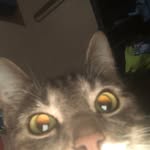 Isaac Sada - @isaac.sada.984 - Instagram