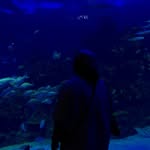 Isaac Sada - @isaac_sada10 - Instagram