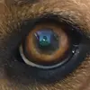 isaac.sada - @isaac.sada - TikTok