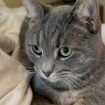 Isaac Samuelson - @nosleumas1 - Instagram