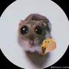 Isaac - @isaacsandss - TikTok