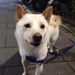 @isaacsapporo - Instagram